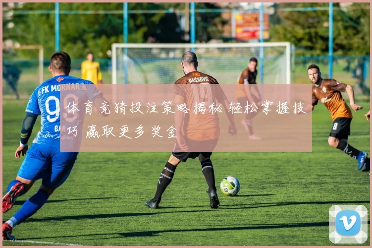 体育竞猜投注策略揭秘 轻松掌握技巧 赢取更多奖金