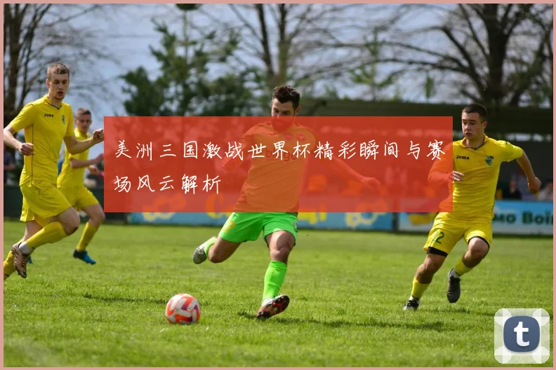 美洲三国激战世界杯精彩瞬间与赛场风云解析