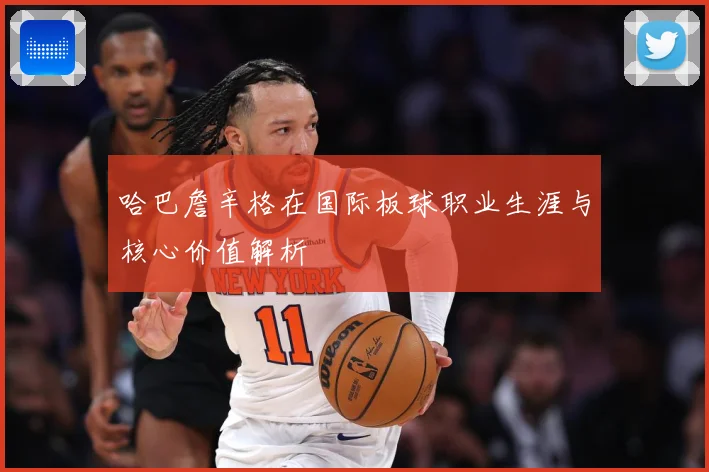 哈巴詹辛格在国际板球职业生涯与核心价值解析