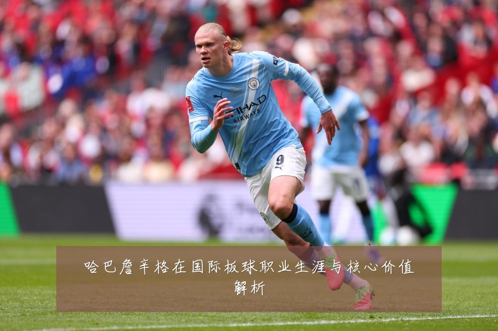 哈巴詹辛格在国际板球职业生涯与核心价值解析